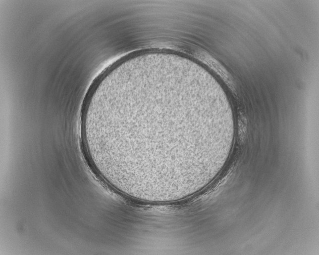 X0000115281028200911272002