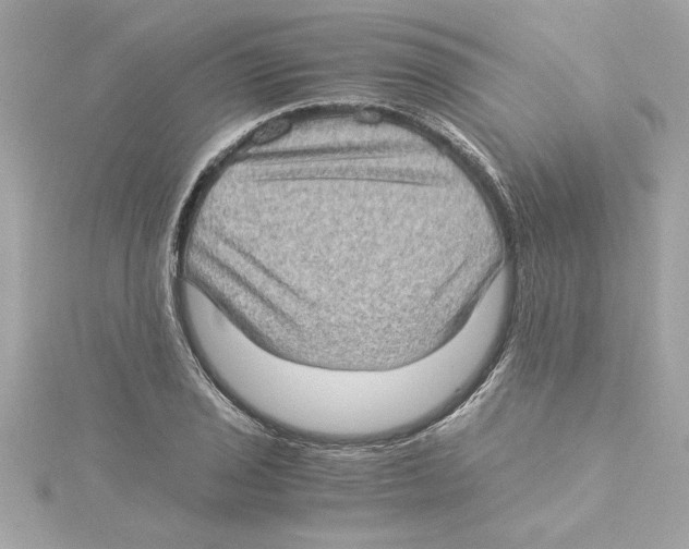 X0000115281029200911272002