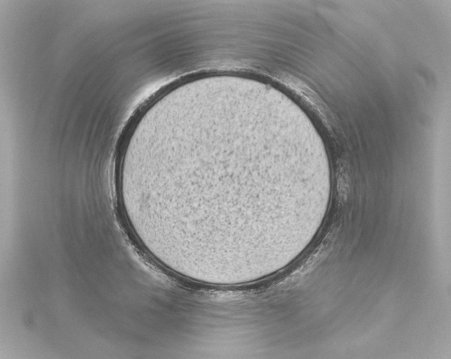 X0000115281030200911272002