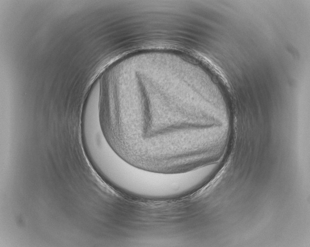 X0000115281033200911272002