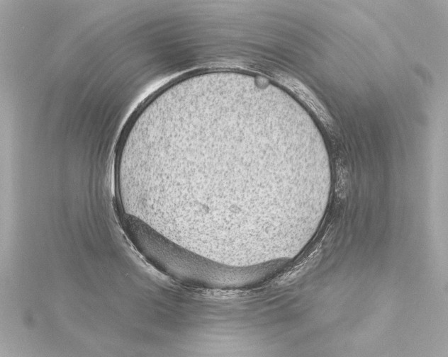 X0000115281036200911272002