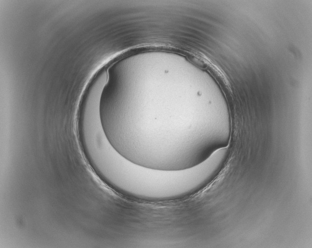 X0000115281037200911272002