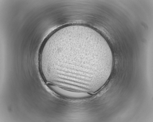 X0000115281038200911272002