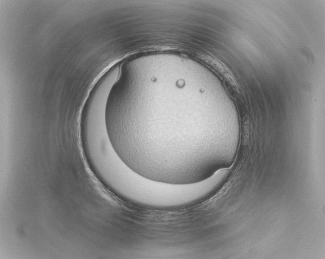 X0000115281039200911272002