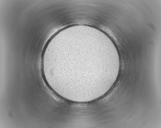 X0000115281040200911272002