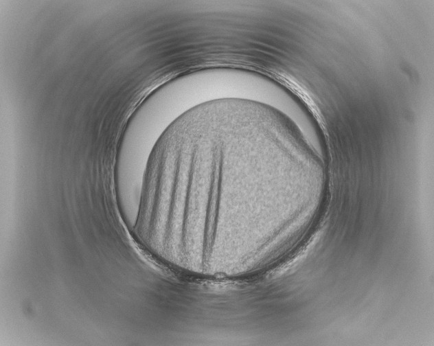 X0000115281041200911272002