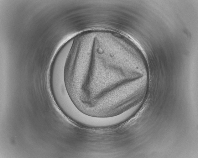 X0000115281045200911272003