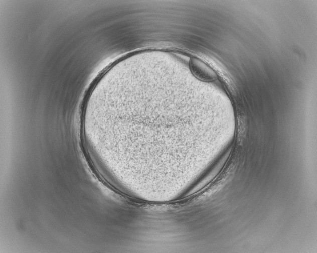 X0000115281046200911272003