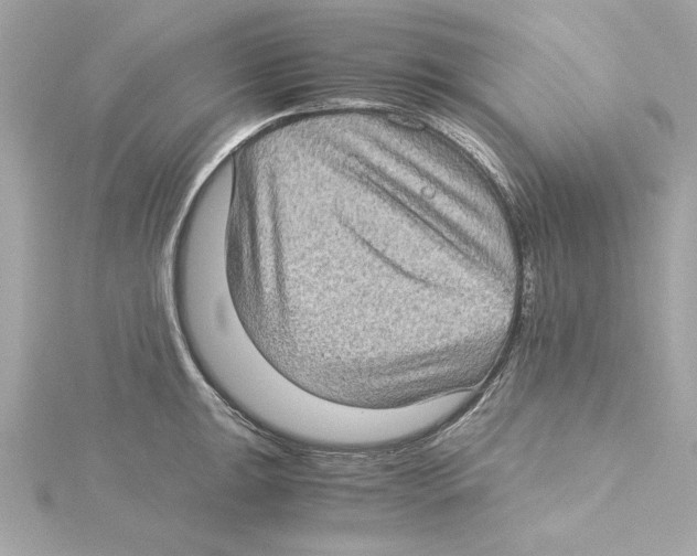 X0000115281047200911272003