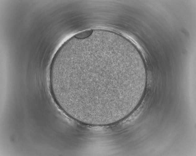 X0000115281048200911272003