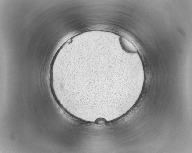 X0000115281050200911272003