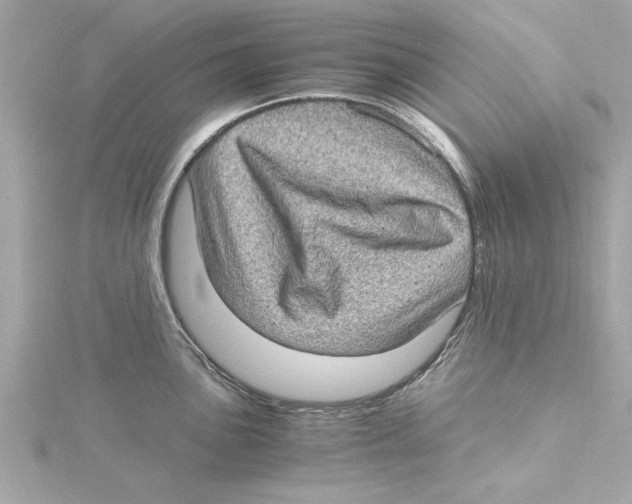 X0000115281051200911272003