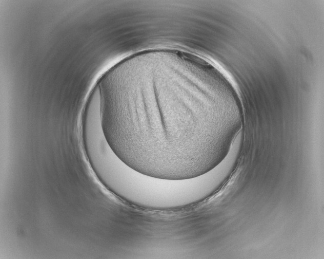 X0000115281053200911272003