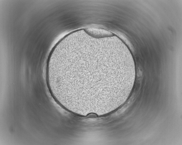 X0000115281054200911272003