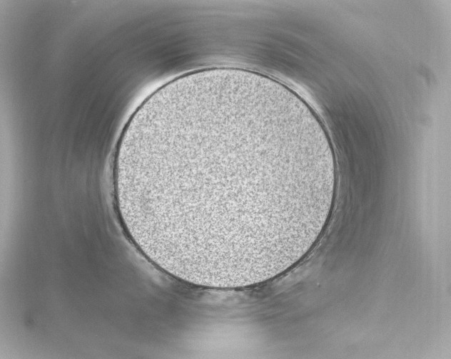 X0000115281056200911272003