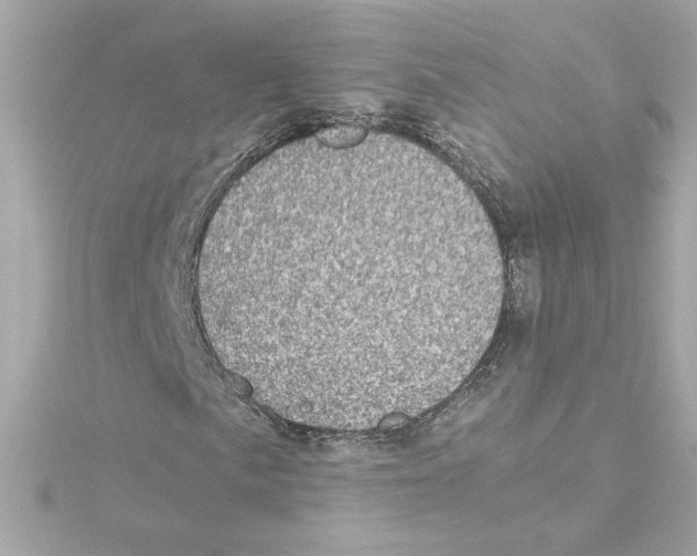 X0000115281057200911272002