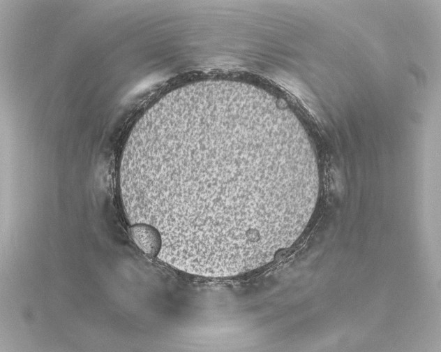 X0000115281063200911272002