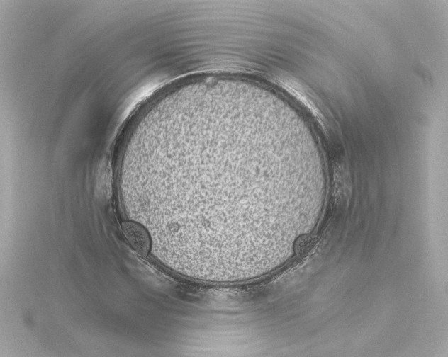 X0000115281067200911272002