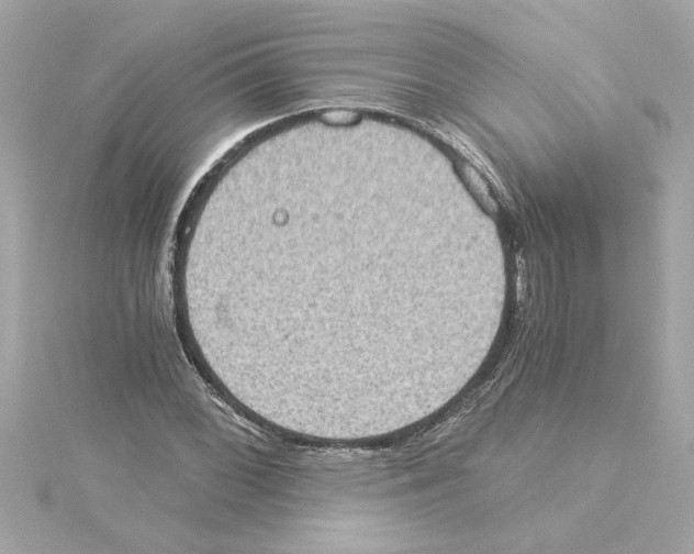 X0000115281068200911272002