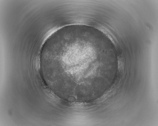 X0000115281069200911272002