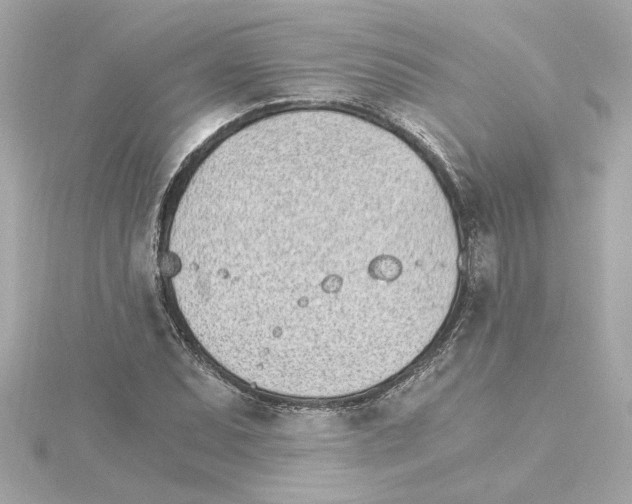 X0000115281071200911272002