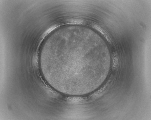 X0000115281074200911272002