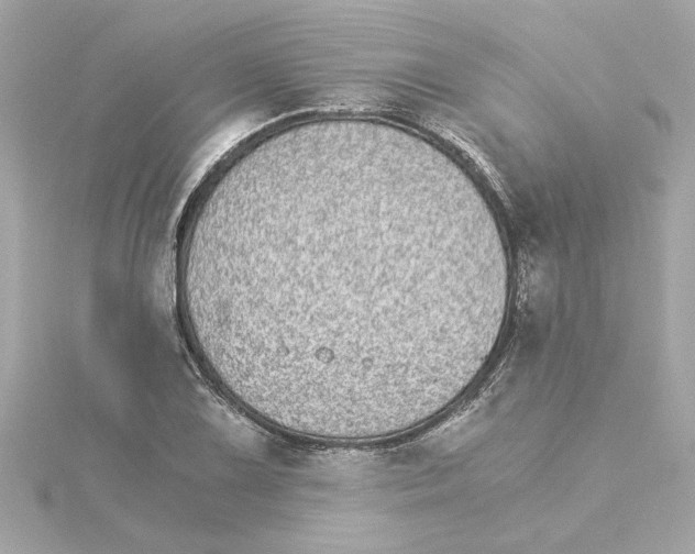 X0000115281075200911272002