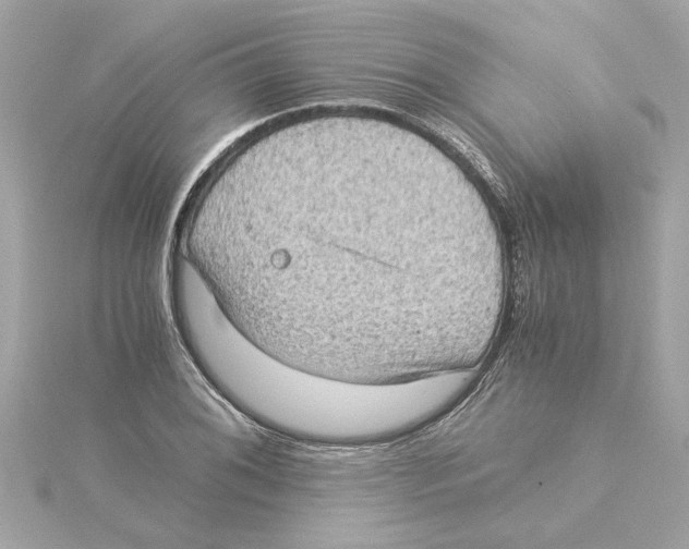 X0000115281076200911272002