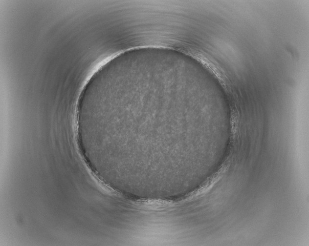 X0000115281077200911272002