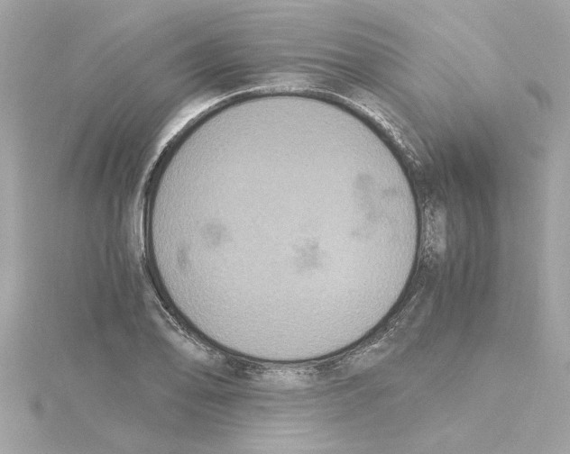 X0000115281078200911272002