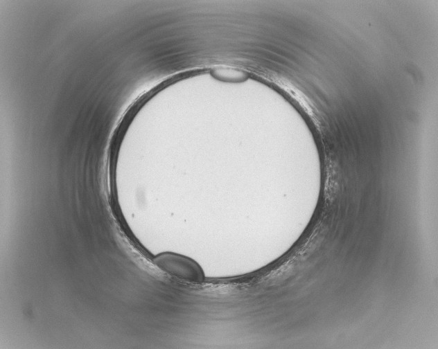 X0000115281080200911272002