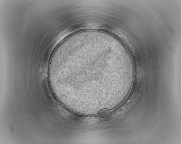 X0000115281081200911272002