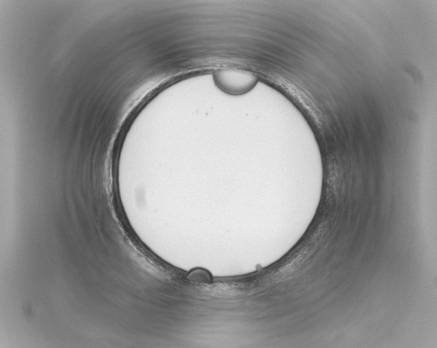 X0000115281082200911272002