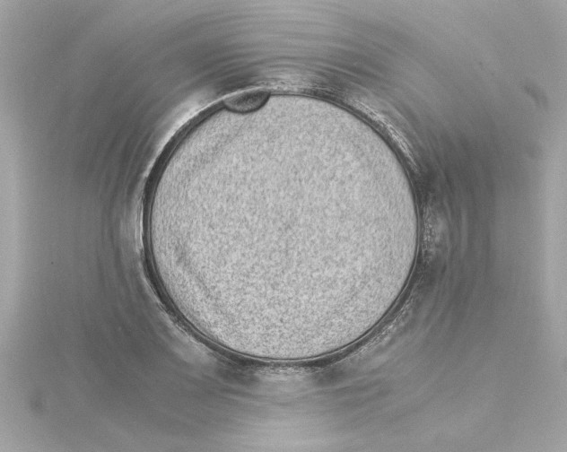 X0000115281083200911272002