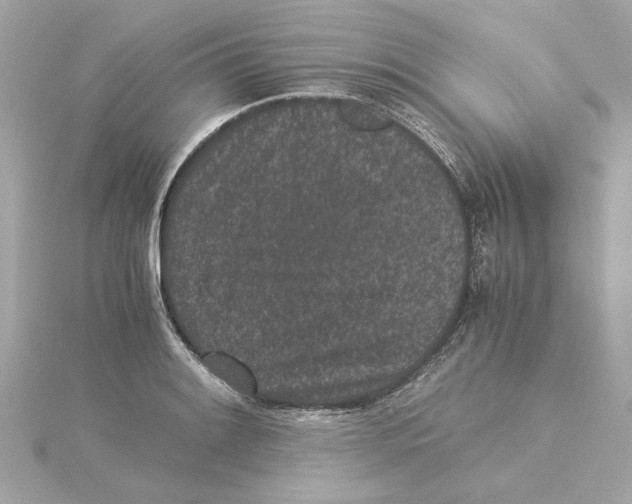 X0000115281084200911272001