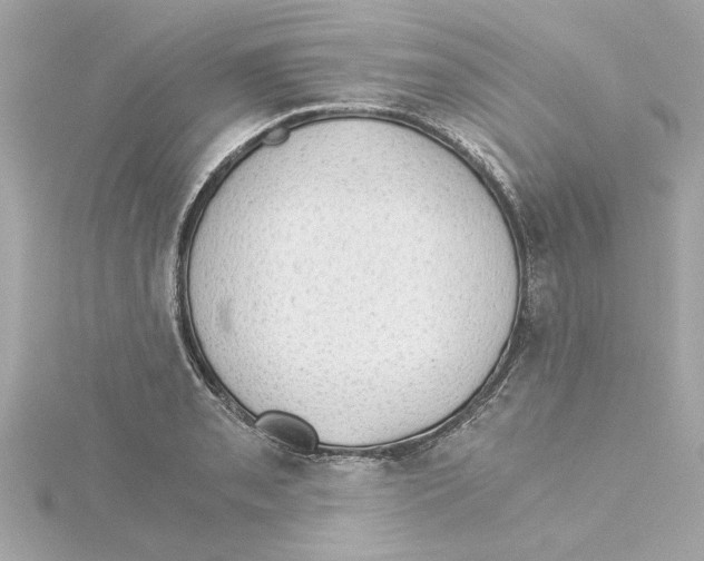 X0000115281085200911272001