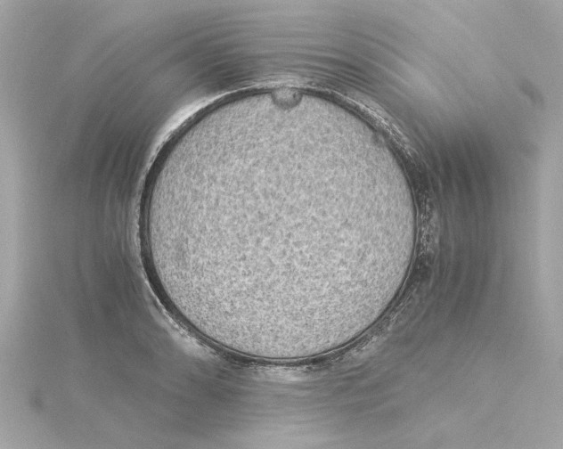 X0000115281086200911272001