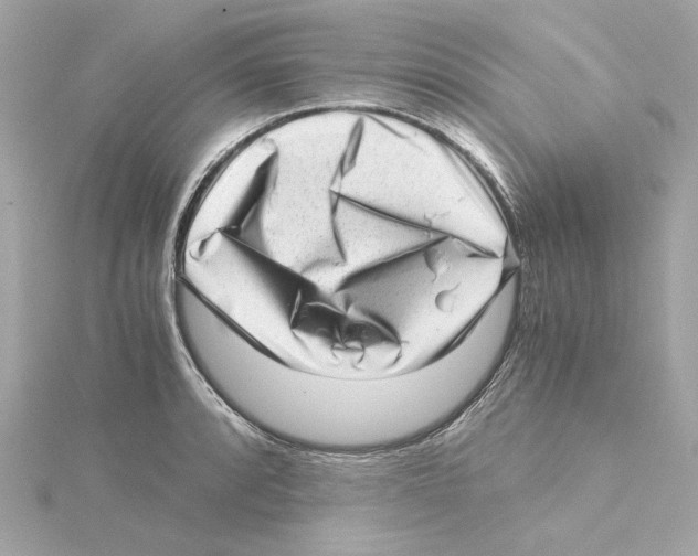 X0000115281088200911272001