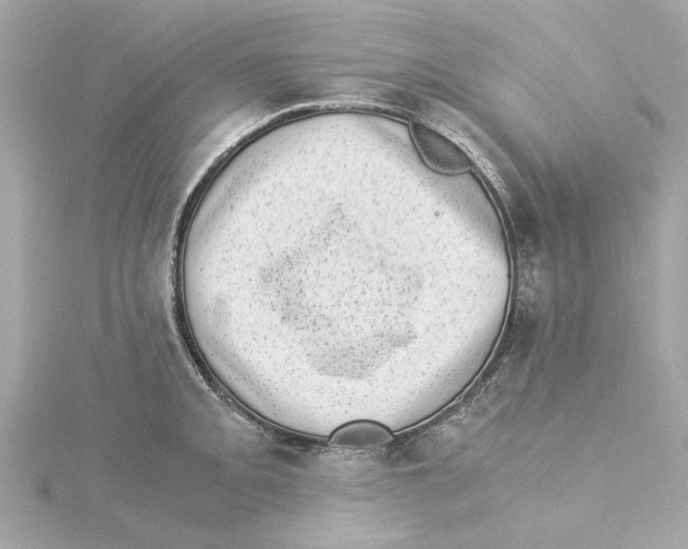 X0000115281093200911272001