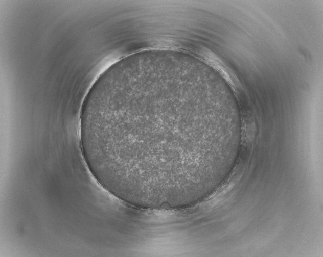 X0000115281095200911272001