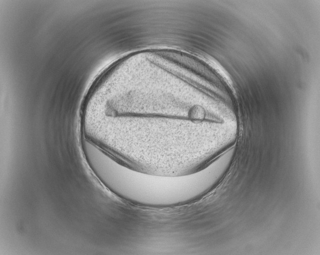 X0000115281096200911272001