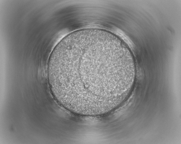 X0000115281097200911272001