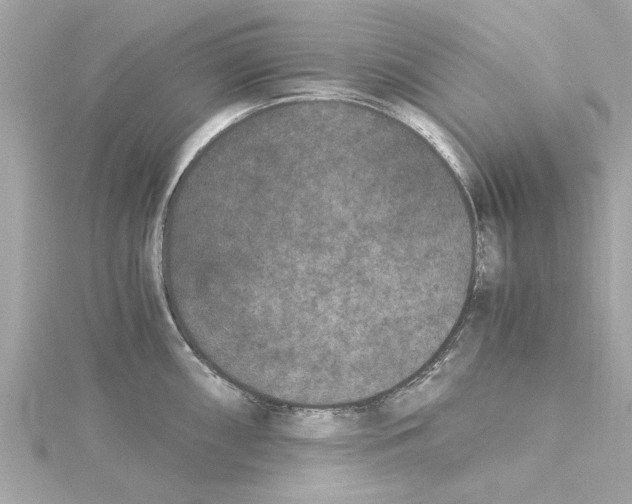 X0000115281098200911272001