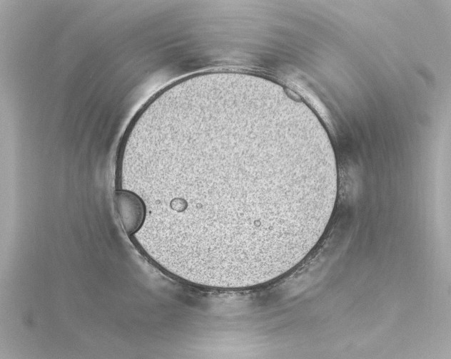 X0000115281099200911272001