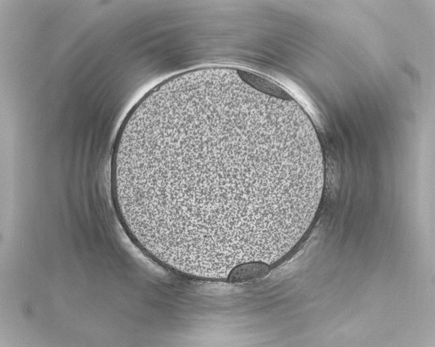 X0000115281100200911272001