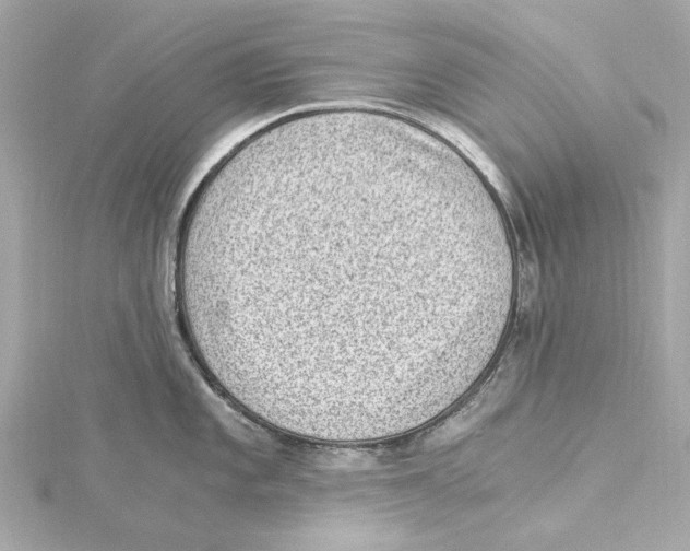 X0000115281101200911272001