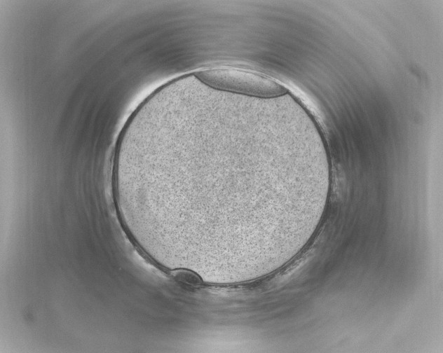 X0000115281102200911272001