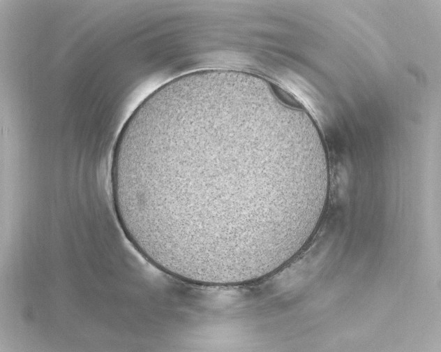 X0000115281103200911272001