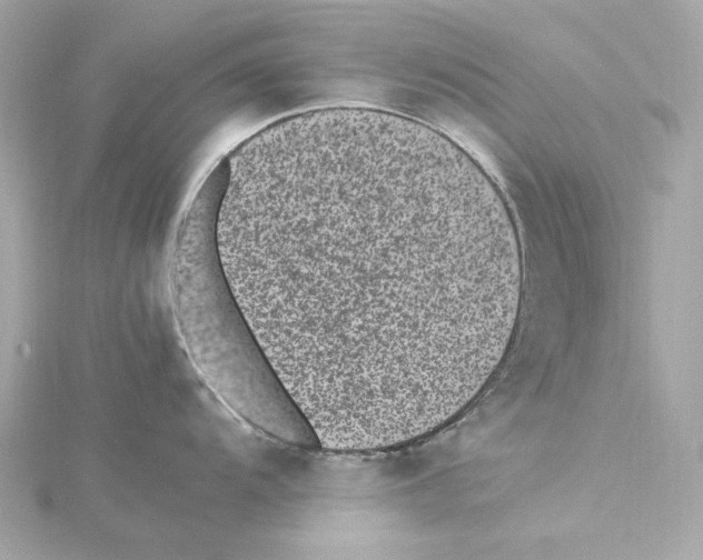 X0000115281104200911272001