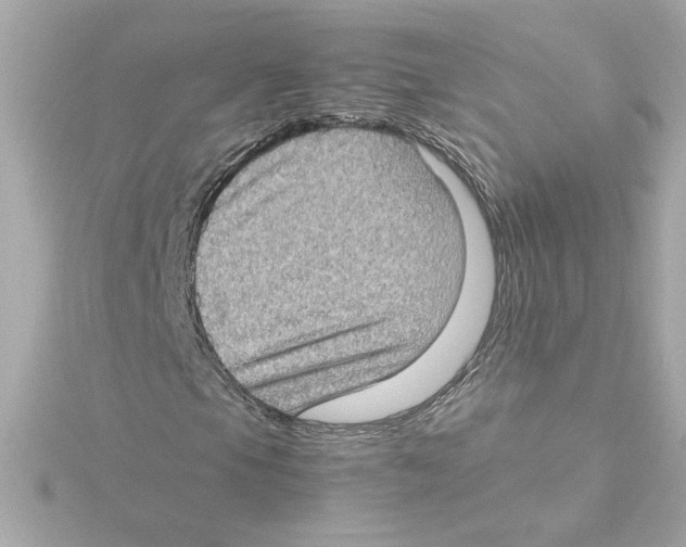 X0000115281105200911272001